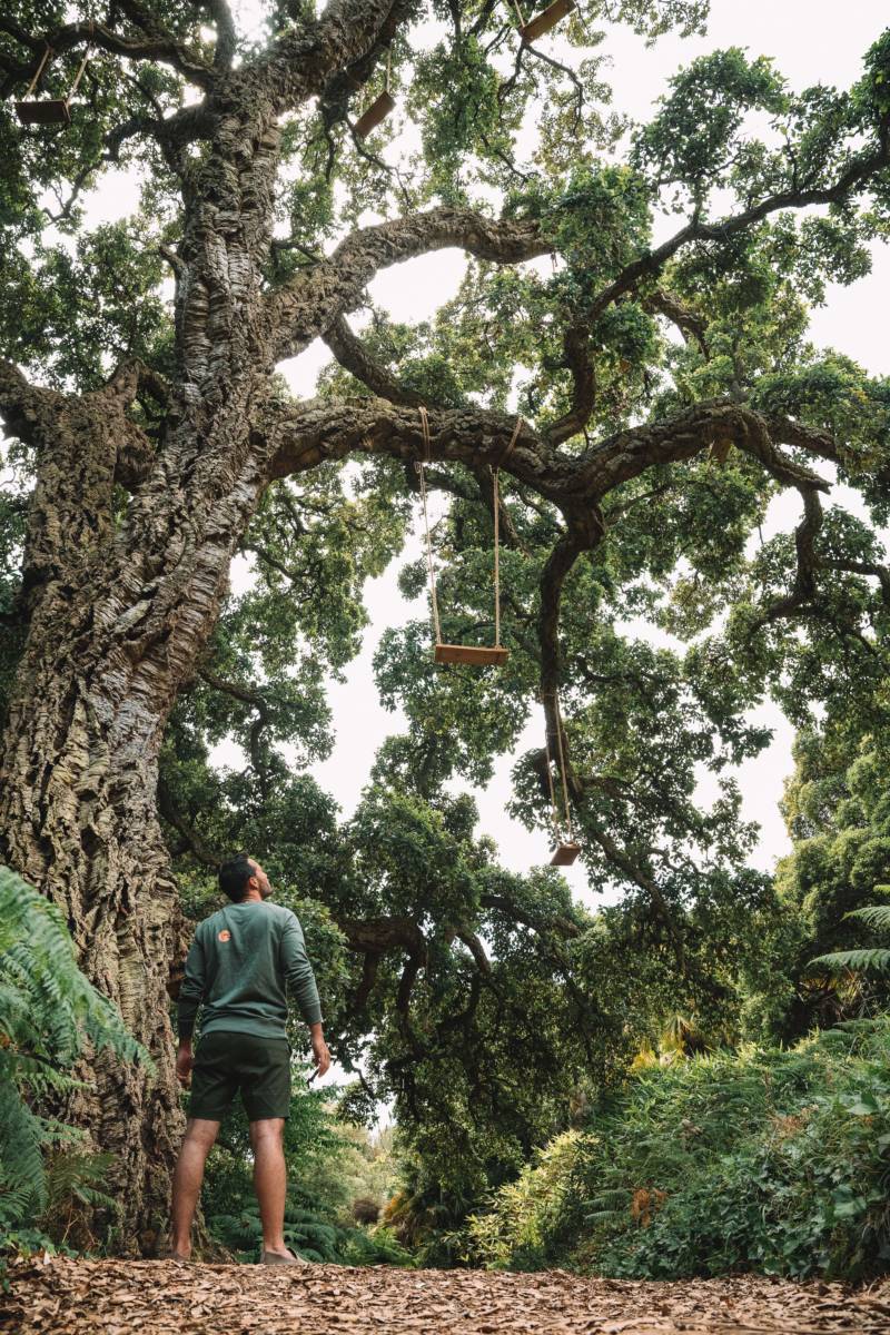 Hôtel Terrasses du Bailli