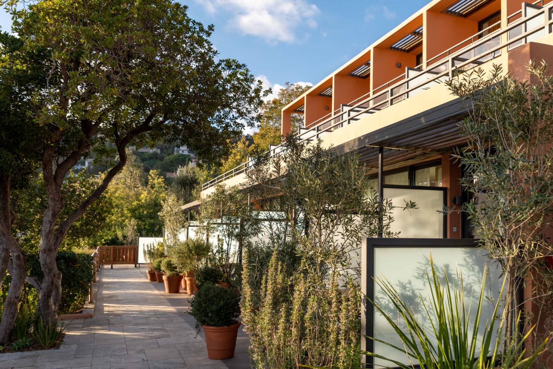 Vegetation at the Terrasses du Bailli hotel